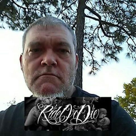 Meet your Posher, Bruce - Picture 1 of 1